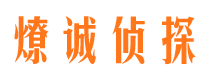 渭城市侦探公司